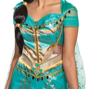 Disney Brand Adult Princess Jasmine Costume